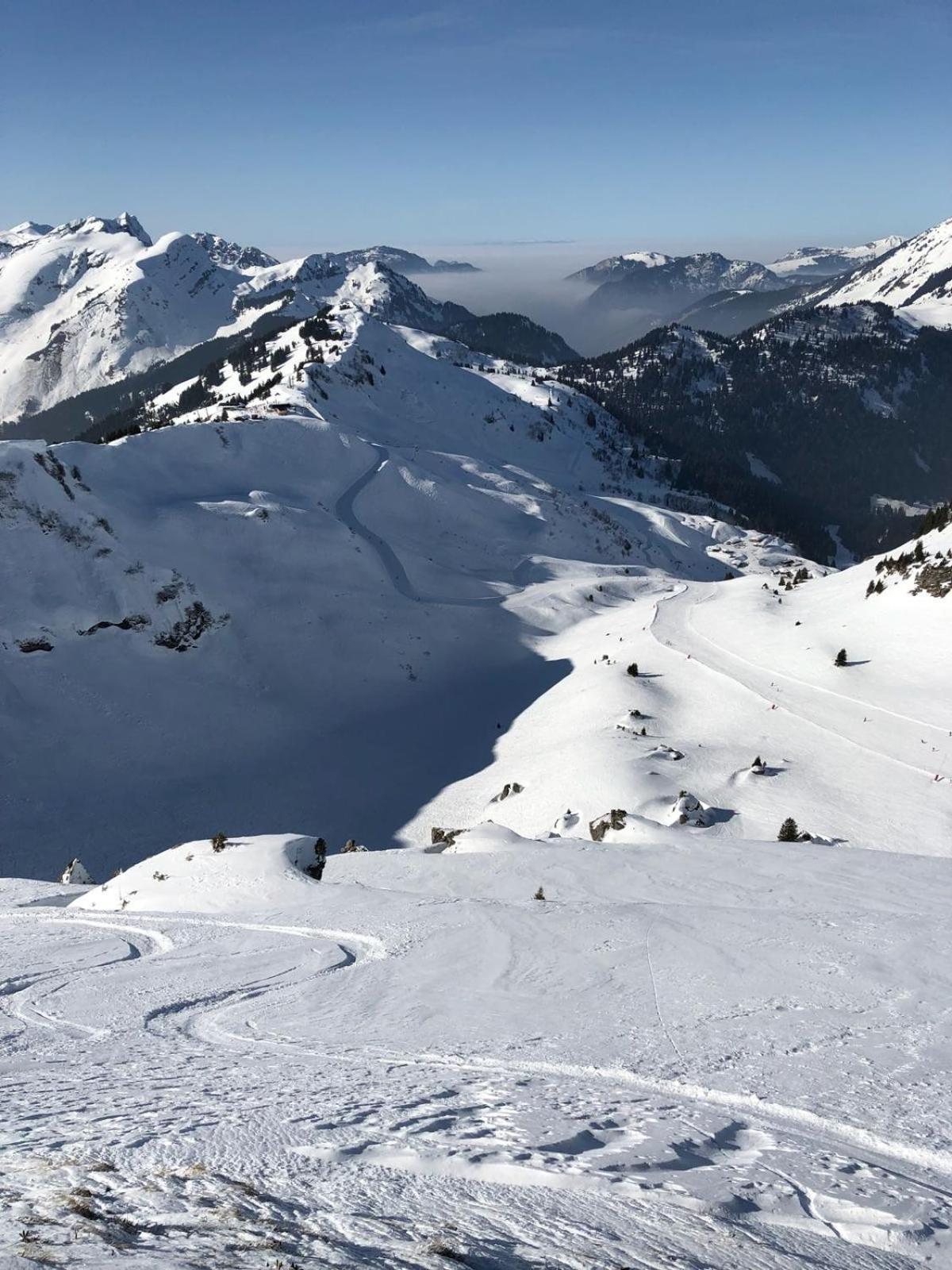 Le Roitelet Hotel Châtel Kültér fotó