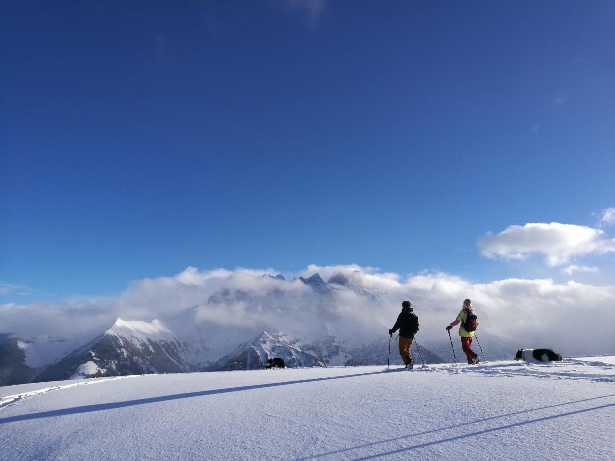 Le Roitelet Hotel Châtel Kültér fotó