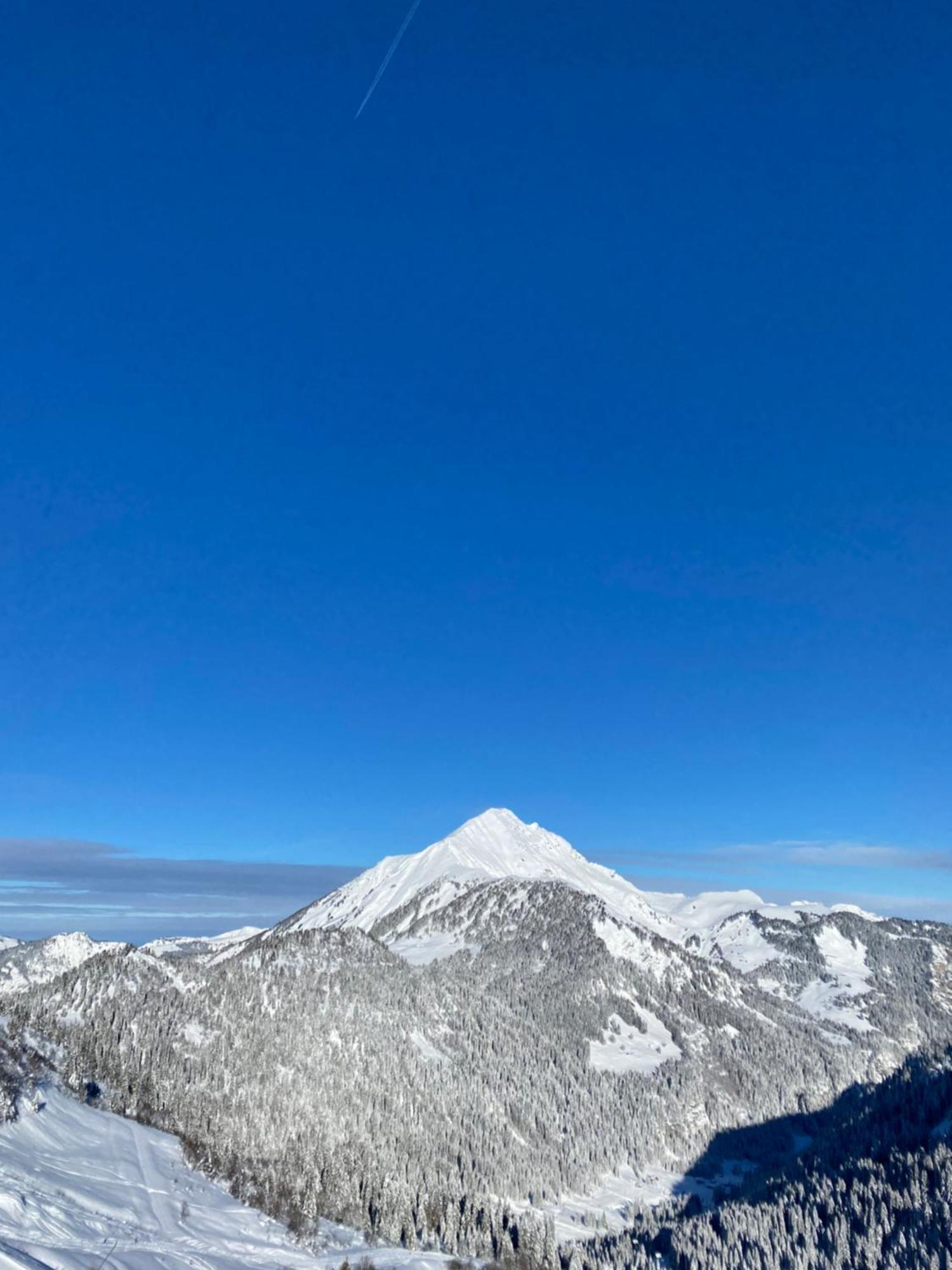 Le Roitelet Hotel Châtel Kültér fotó