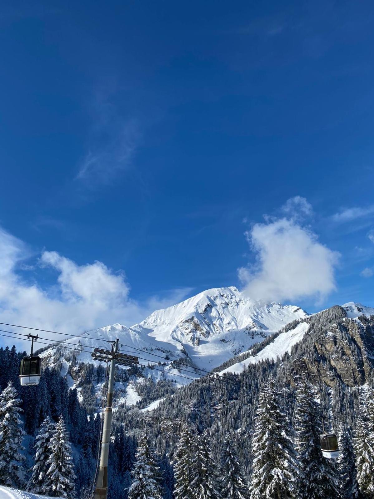 Le Roitelet Hotel Châtel Kültér fotó