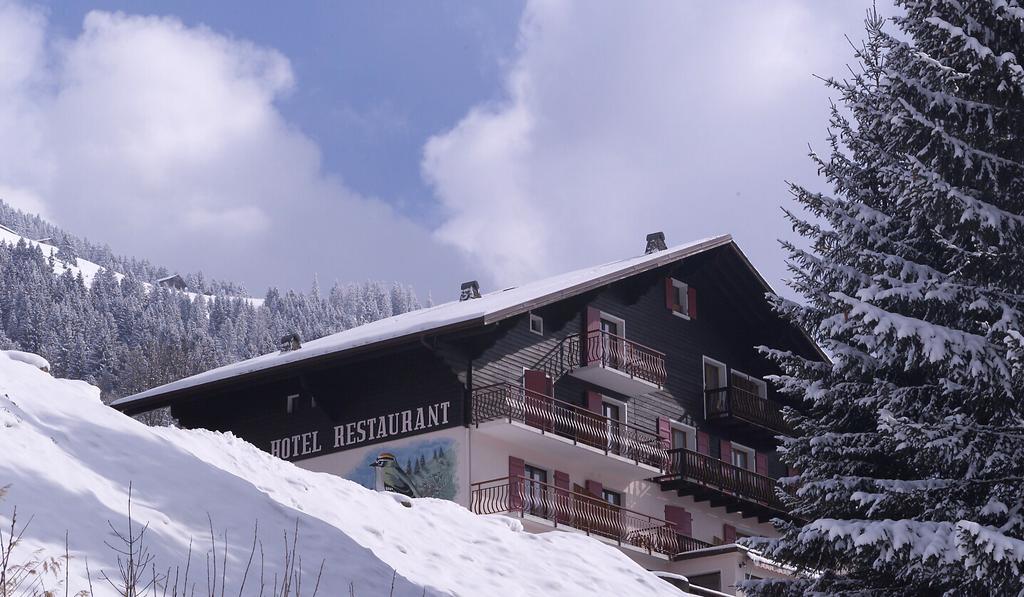 Le Roitelet Hotel Châtel Kültér fotó