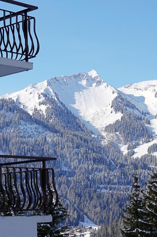 Le Roitelet Hotel Châtel Kültér fotó
